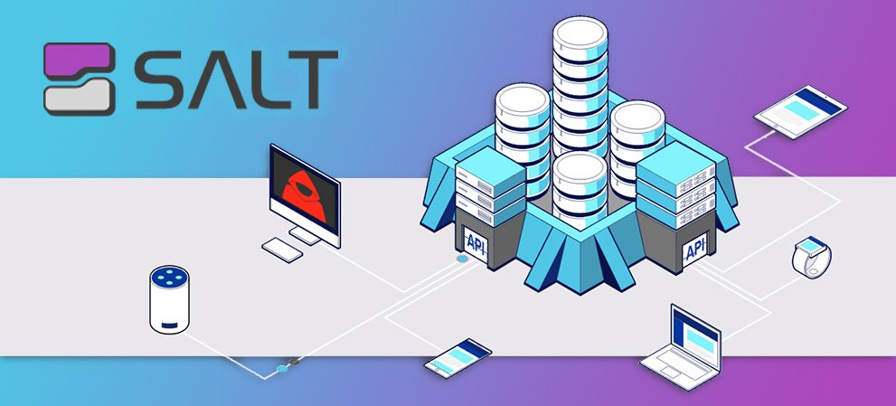 Salt Security apresenta a primeira solução do setor para identificar e impedir ataques de API’s